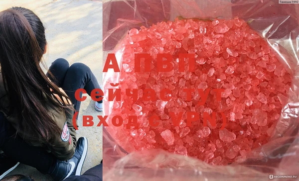 таблы Пестово