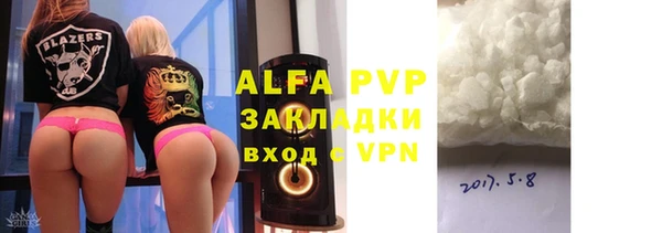 прущие грибы Валдай