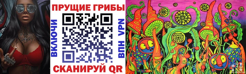 Псилоцибиновые грибы прущие грибы Семикаракорск